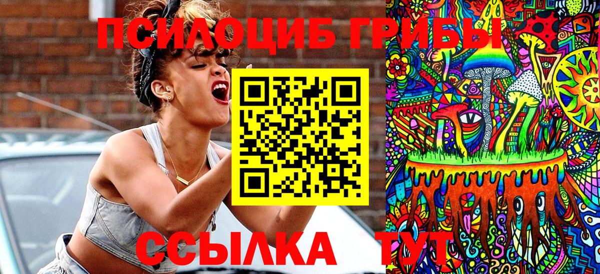 Каменск-Шахтинский  Галлюциногенные грибы Magic Shrooms  Псилоцибиновые грибы Psilocybe  магазин    Вход с VPN 